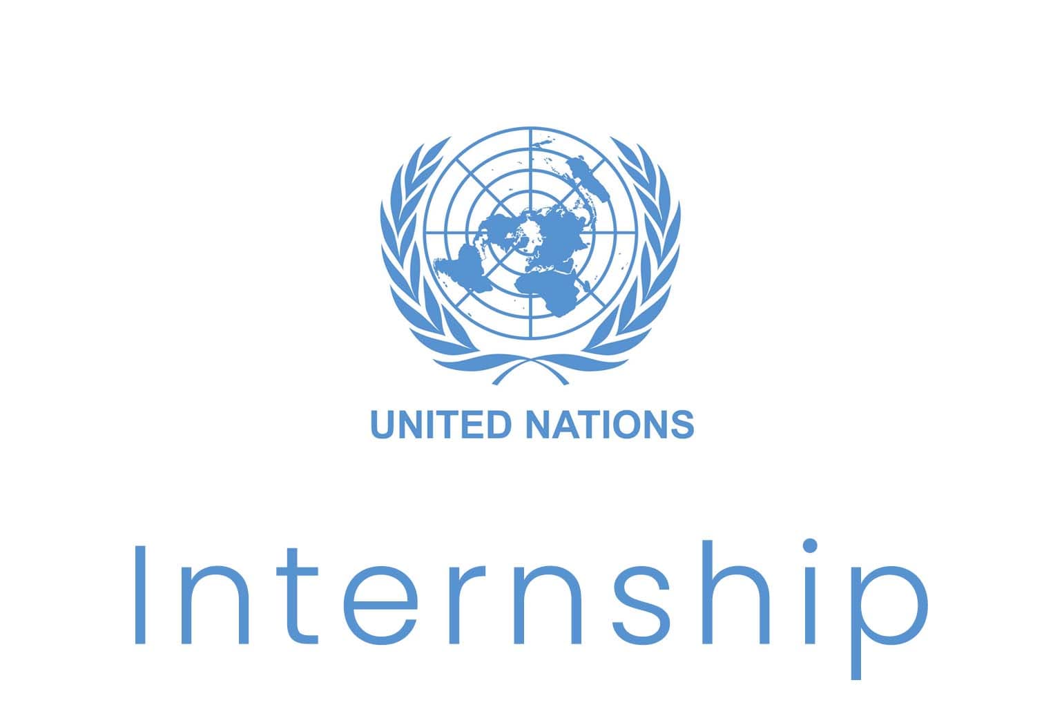 United Nations Internship Programme 2026/27